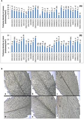 Field screening and identification of biochemical indices of pod borer (Helicoverpa armigera) resistance in chickpea mutants